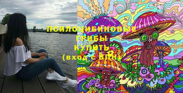 мяу мяу мука Михайловск