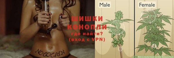 героин Михайлов