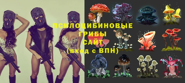 стаф Магадан